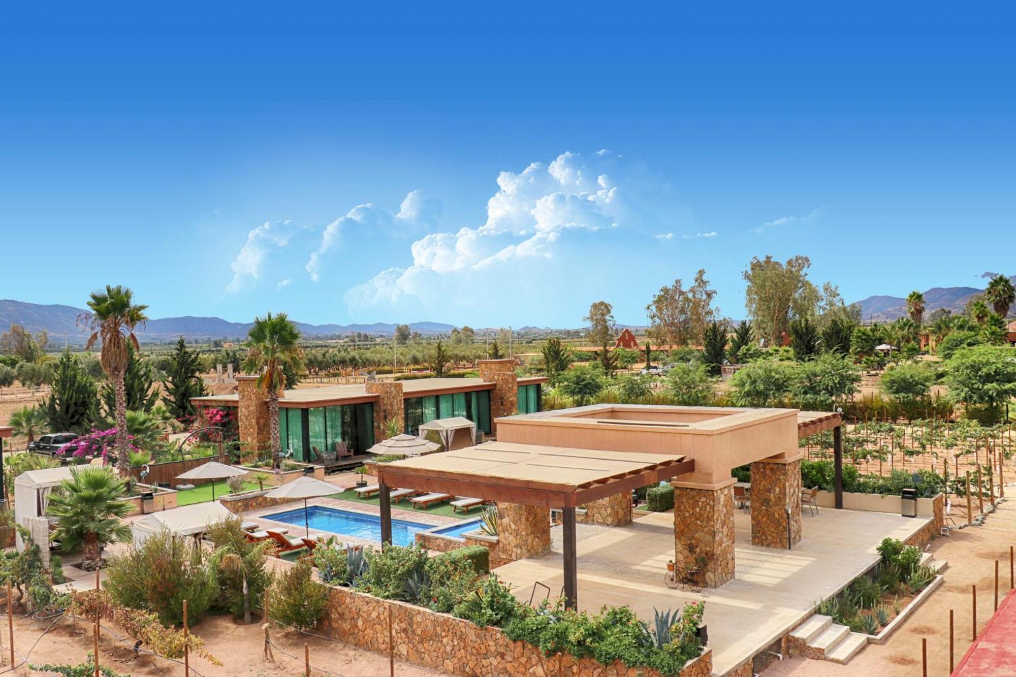 Hotel Boutique Valle De Guadalupe & Spa Room photo